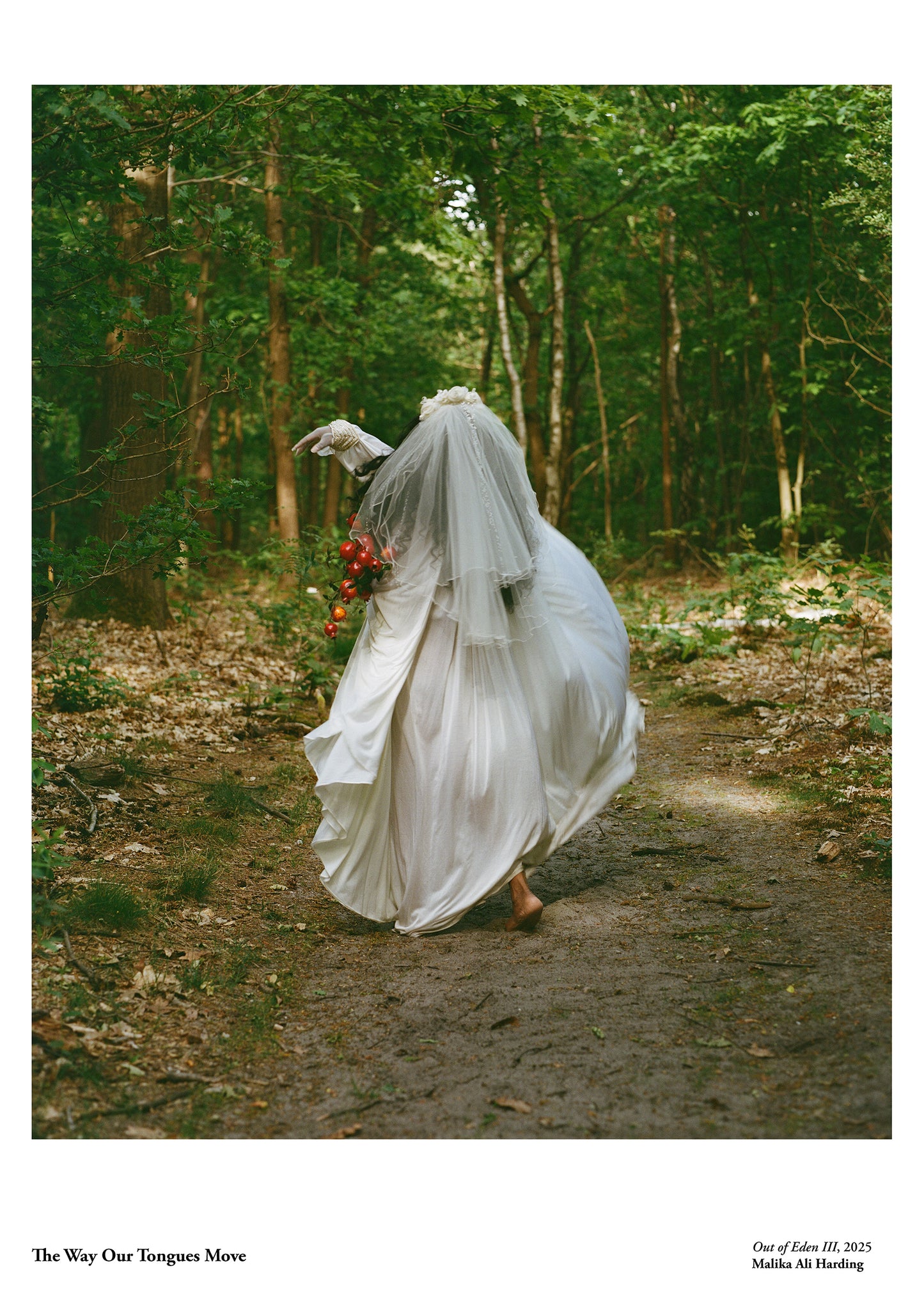 Limited Edition Art Poster: Out of Eden III